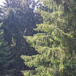 Photo n°1 de l'avis de Pao.a fait le 15/08/2021 à 18:46 sur le  Albergo Ristorante La Genzianella à Bellagio