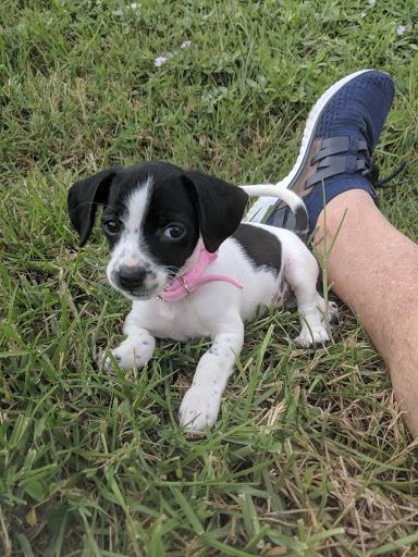 Vitamin & Supplements Store «For Goodness Sake», reviews and photos, 9118 Bonita Beach Rd SE, Bonita Springs, FL 34135, USA