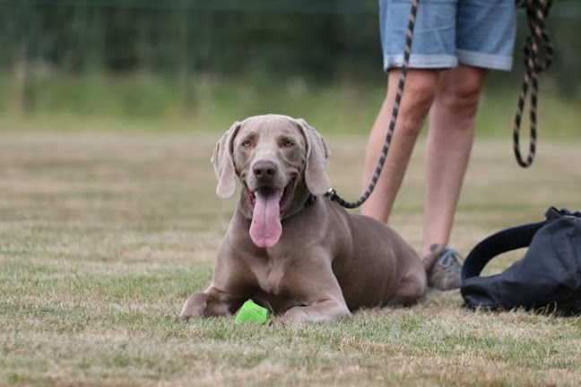 Bergstraat, 9111 Sint-Niklaas