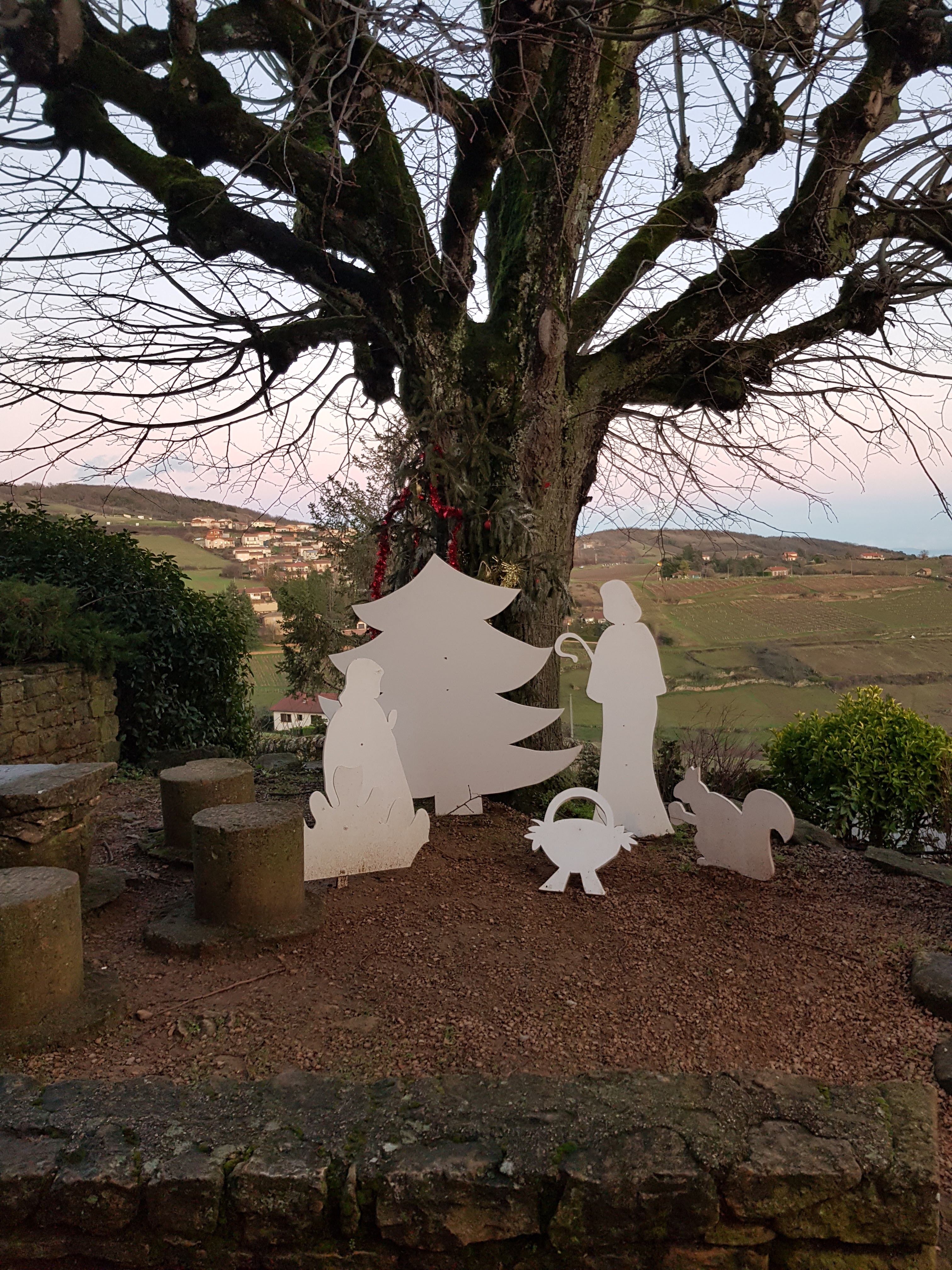 Photo n° 7 de l'avis de Antoine.i fait le 24/12/2019 à 22:41