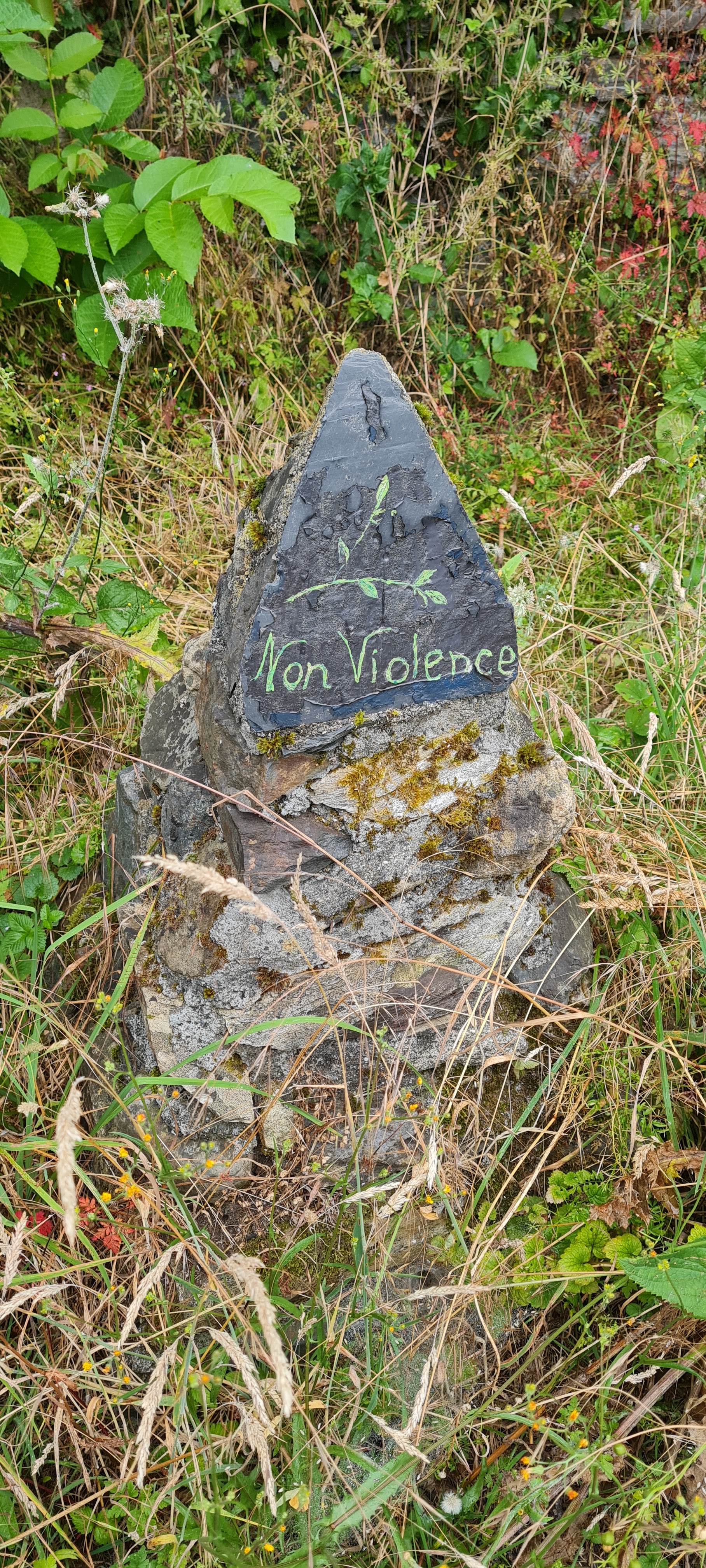 Photo n° 7 de l'avis de C..a fait le 21/06/2022 à 16:20