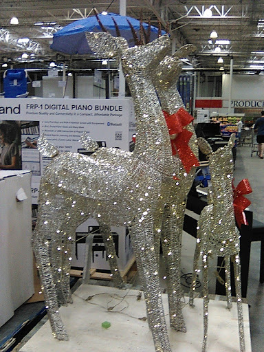 Warehouse store «Costco Wholesale», reviews and photos, 3250 Northlake Blvd, Lake Park, FL 33403, USA