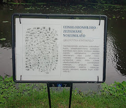 Durban Botanic Gardens photo
