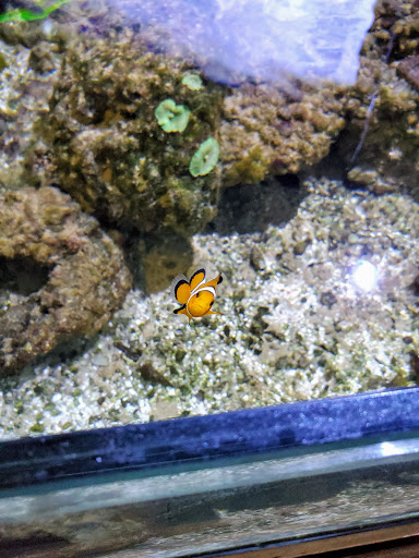 Pet Store «Pets World», reviews and photos, 147 Bridge St, Weymouth, MA 02191, USA