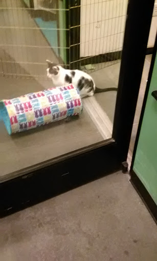 Pet Supply Store «PetSmart», reviews and photos, 3033 NY-50, Saratoga Springs, NY 12866, USA