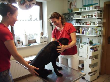 Dr.med.vet. Elke Deus Tierärztin unter Georgsmarienhütte, Niedersachsen