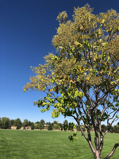 Park «Sweetwater Park», reviews and photos, 8300-1/2 Sweet Water Rd, Lone Tree, CO 80124, USA