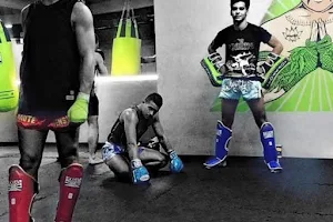 Clinch muay thai and fitness image