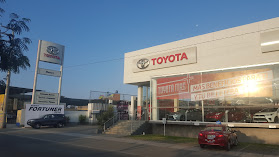 Matsuri Toyota
