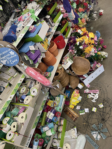 Dollar Store «Dollar Tree», reviews and photos, 806 Pelham Pkwy #4, Pelham, NY 10803, USA