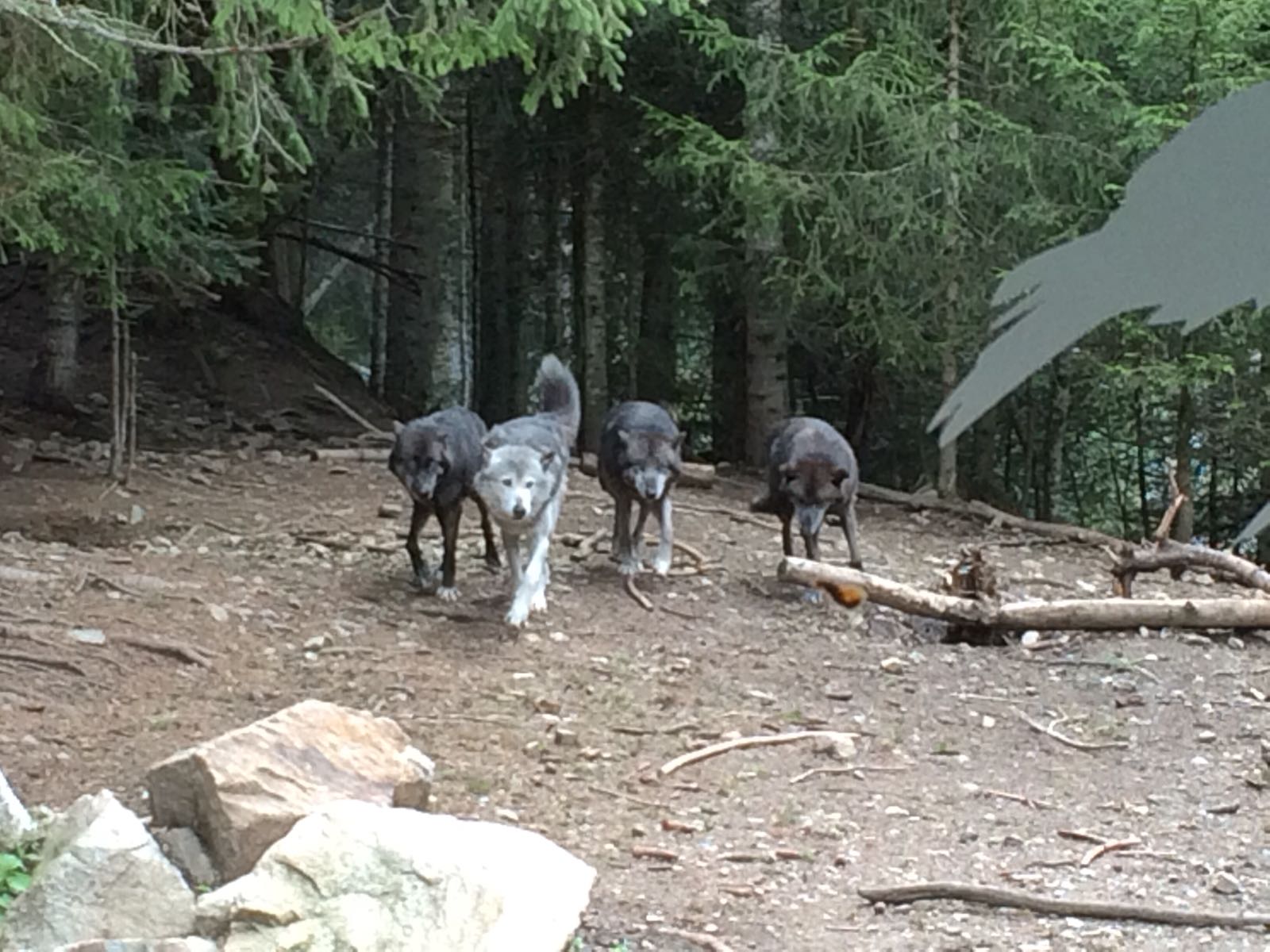 Photo n° 1 de l'avis de Maxime.l fait le 21/05/2018 à 08:38