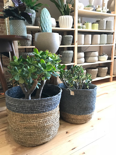 Gift Shop «Moss - Iowa City», reviews and photos, 112 E Washington St, Iowa City, IA 52240, USA