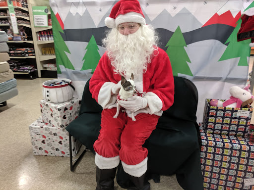 Pet Supply Store «PetSmart», reviews and photos, 3335 Cobb Pkwy NW #400, Acworth, GA 30101, USA