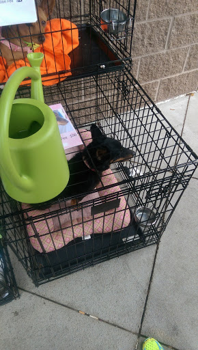 Pet Supply Store «PetSmart», reviews and photos, 5401 N Garland Ave, Garland, TX 75040, USA