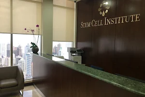 Stem Cell Institute image