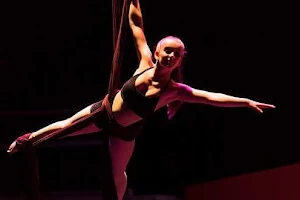 CircArts Geelong: Circus, Aerial Arts and Acrobatic Academy image