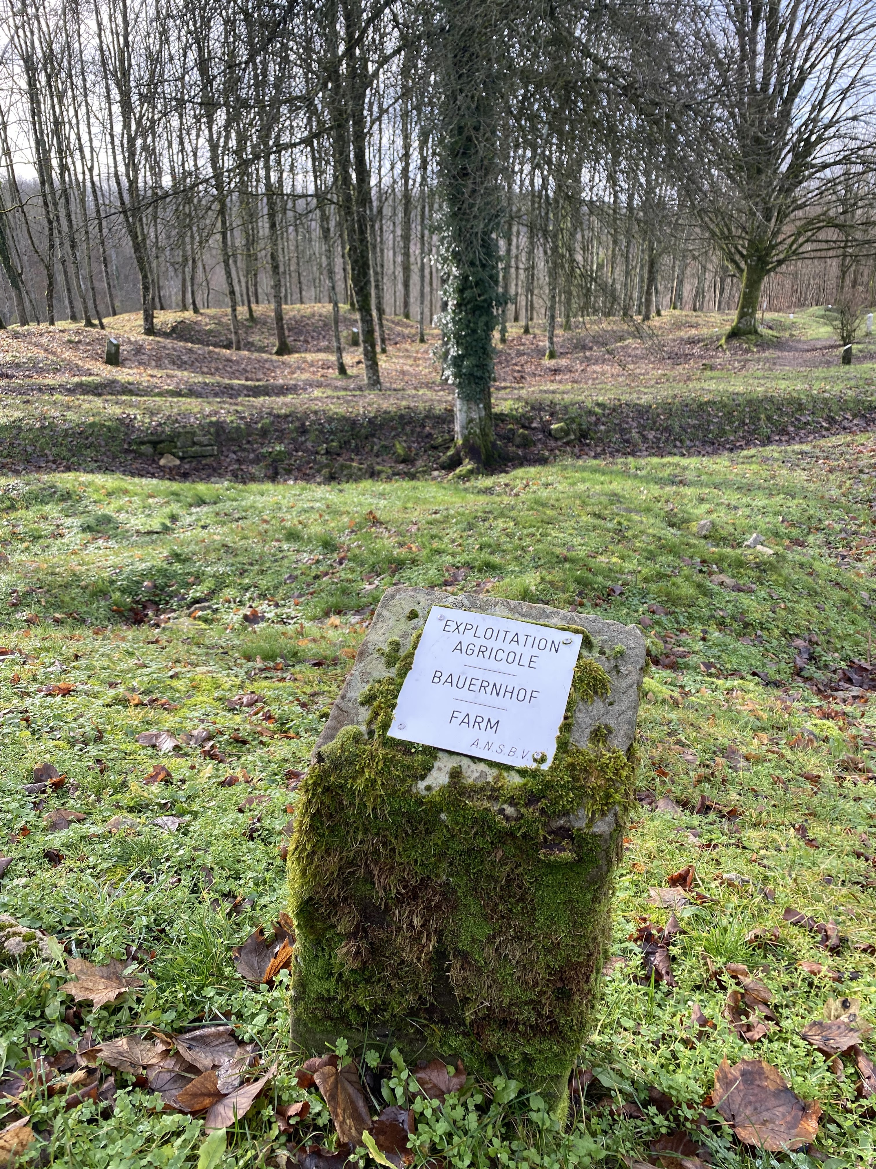 Photo n° 3 de l'avis de Mathis.D fait le 27/12/2022 à 17:51