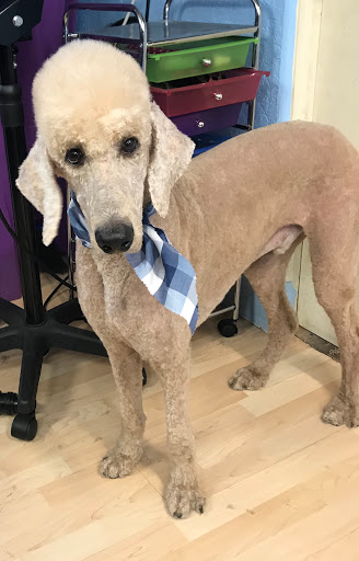 Pet Store «Planet Pet», reviews and photos, 1980 W Fairbanks Ave, Winter Park, FL 32789, USA