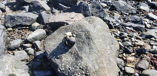 Park «Fort Sewall», reviews and photos, 8 Fort Sewall Ln, Marblehead, MA 01945, USA