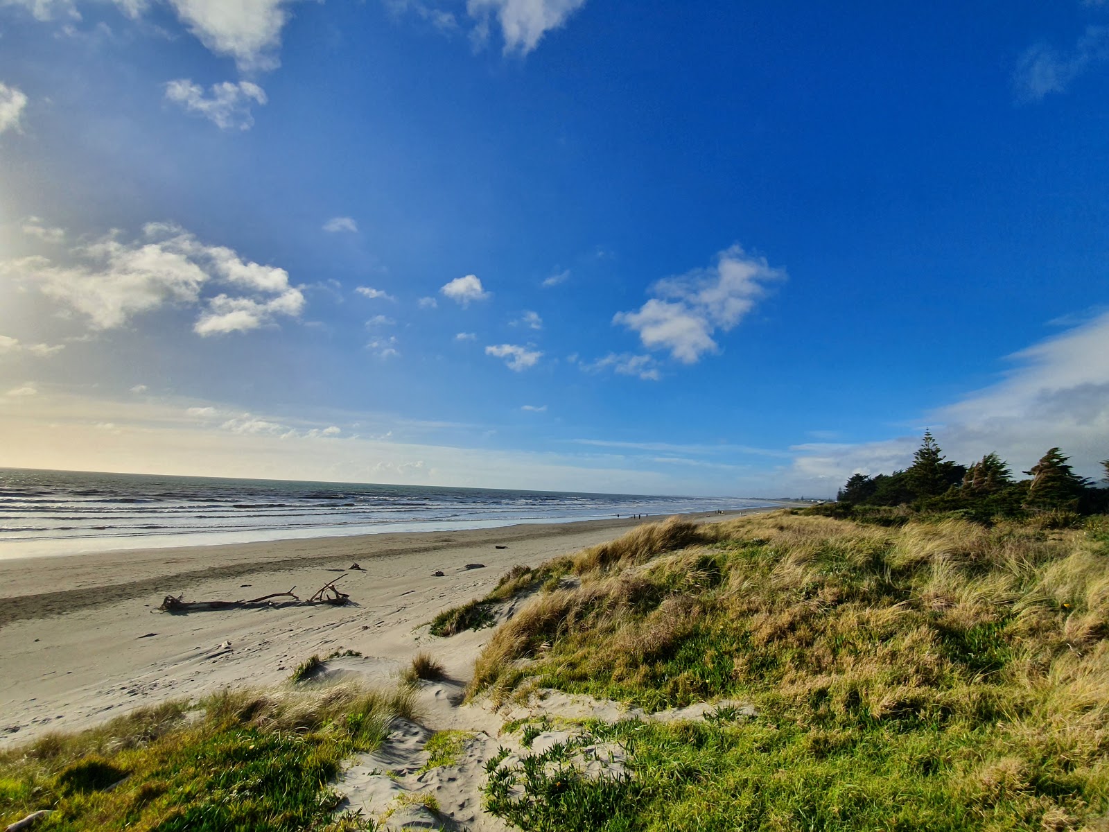 Waikanae Beach'in fotoğrafı imkanlar alanı