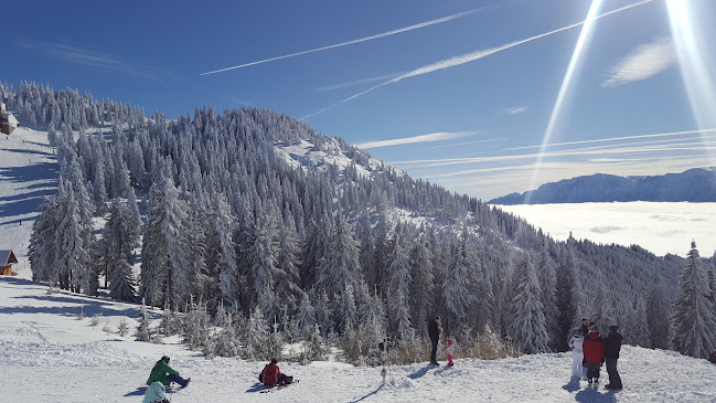 Opinii despre Eden Ski & Snowboard School - Scoala Ski si Snowboard Poiana Brasov în Brașov - Agenție de turism
