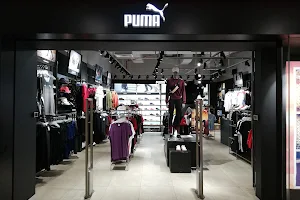 Puma image
