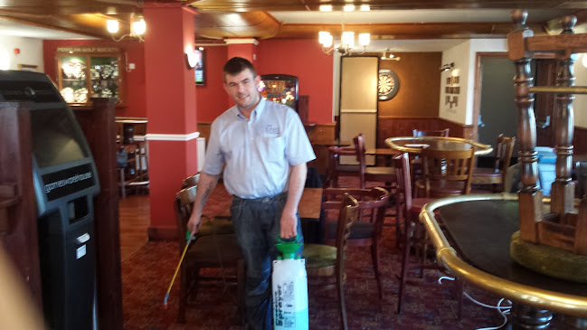 Mr Jones Carpet Cleaning & Rug Spa - House cleaning service