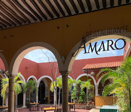 La Iguana Col. Alemán photo