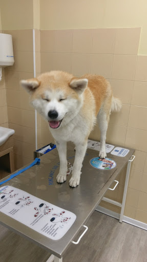 Clínica Veterinaria Layos en Alcala de Henares