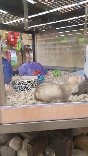 Pet Supply Store «Petco Animal Supplies», reviews and photos, 1215-1309 NJ-33 #1, Hamilton Township, NJ 08690, USA