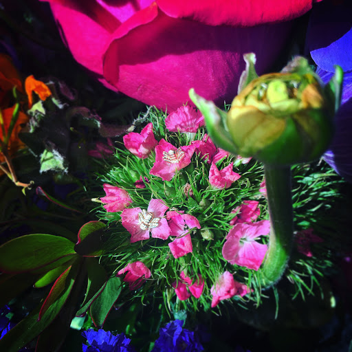 Explore empathy tattoo ideas, creative tattoo ideas in Cary, available at Fine Art Body Piercing By Lilith Mae