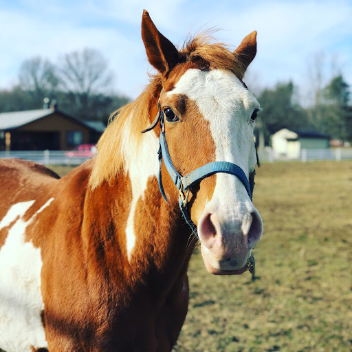 Beauty Salon «MoLo Hair & Spa Productions», reviews and photos, 17800 Chillicothe Rd, Chagrin Falls, OH 44023, USA