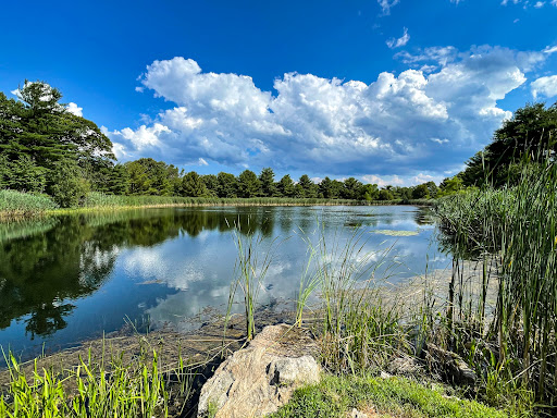 Nature Preserve «Grace Farms», reviews and photos, 365 Lukes Wood Rd, New Canaan, CT 06840, USA