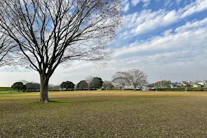 Kokaigawa Sports Park image