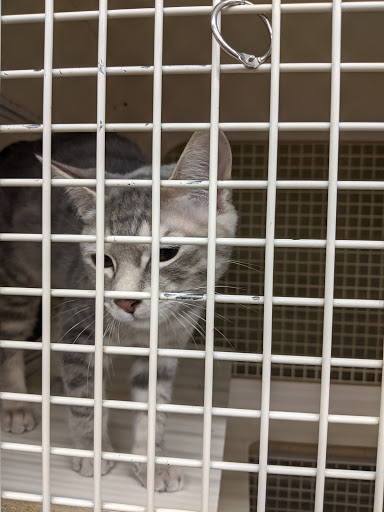 Pet Supply Store «Petco Animal Supplies», reviews and photos, 12050 Industry Blvd, Jackson, CA 95642, USA