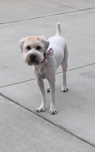 Pet Supply Store «Petco Animal Supplies», reviews and photos, 4820 South Baldwin Road #3B, Orion Township, MI 48359, USA