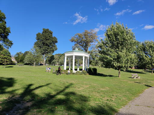 Morgan Memorial Park image 1
