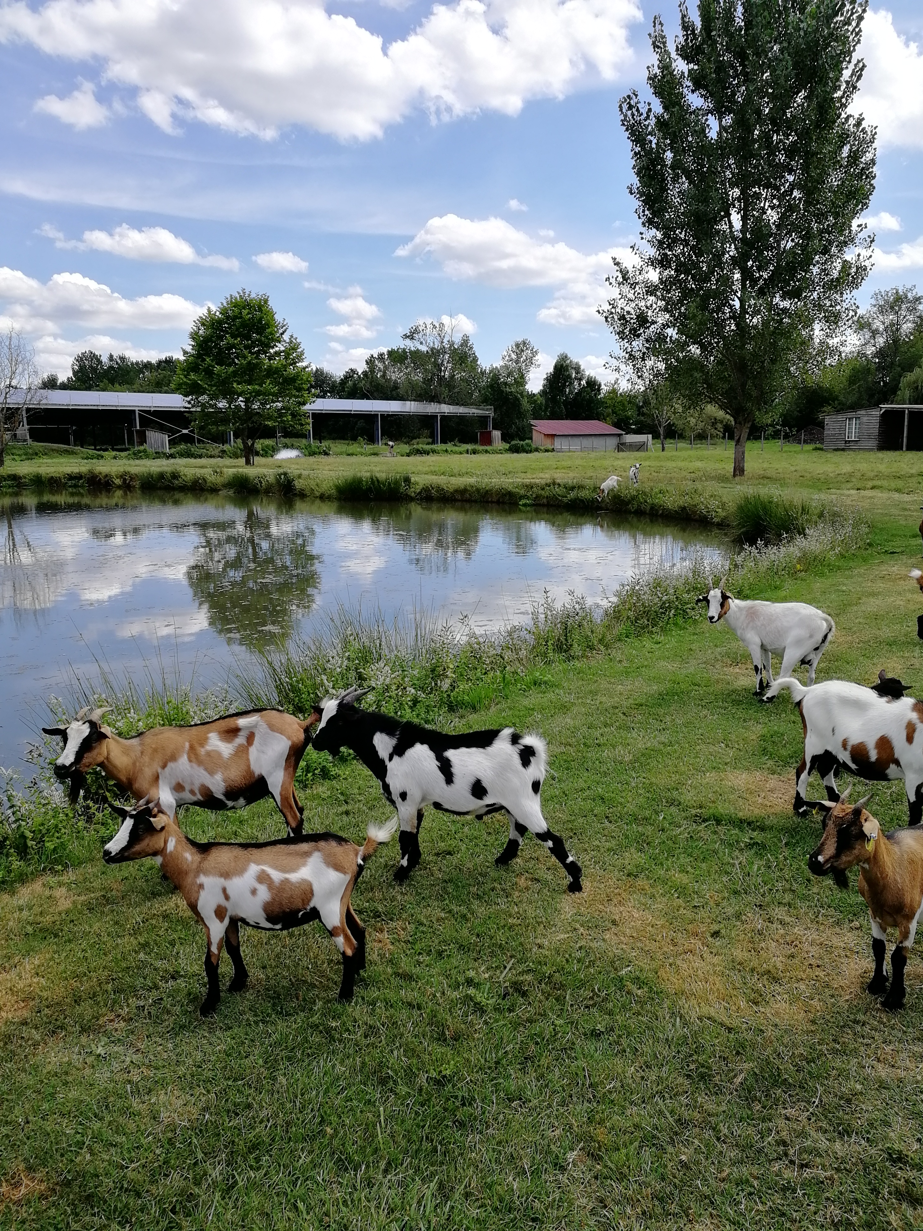 Photo n° 3 de l'avis de edouard. fait le 11/08/2019 à 15:37