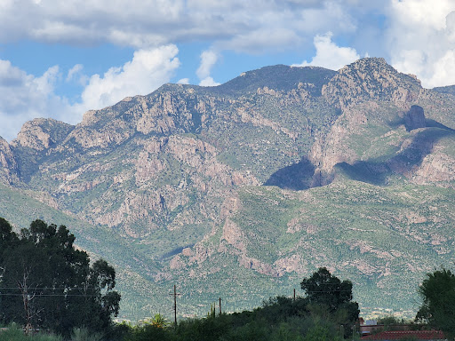Asian Grocery Store «Lee Lee International Supermarkets», reviews and photos, 1990 W Orange Grove Rd, Tucson, AZ 85704, USA