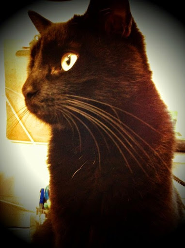 4044 Sullivan St, Madison, AL 35758, USA