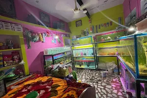 Sanjay fish aquarium image