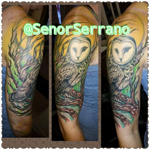 Explore tattoo ideas for forearm, creative tattoo ideas in Cheyenne, available at The T.R.I.B.E. Zoo, LLC Tattoo