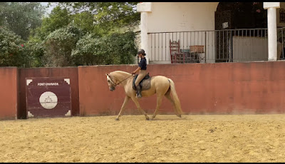 Ecurie du mas de Font Granada à Cardet