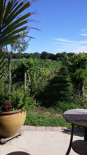 Winery «Turdo Vineyards», reviews and photos, 3911 Bayshore Rd, Cape May, NJ 08204, USA