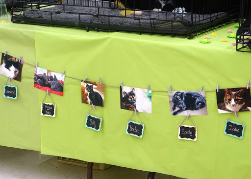 Pet Supply Store «J-B Pet Supplies - Hawthorne», reviews and photos, 289 Wagaraw Rd, Hawthorne, NJ 07506, USA