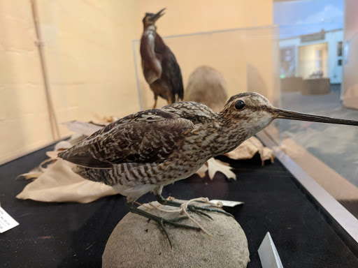 Museum «Discovery Place Nature», reviews and photos, 1658 Sterling Rd, Charlotte, NC 28209, USA