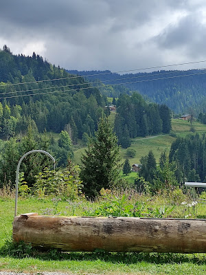 Ferme Du Crinaz à Les Gets