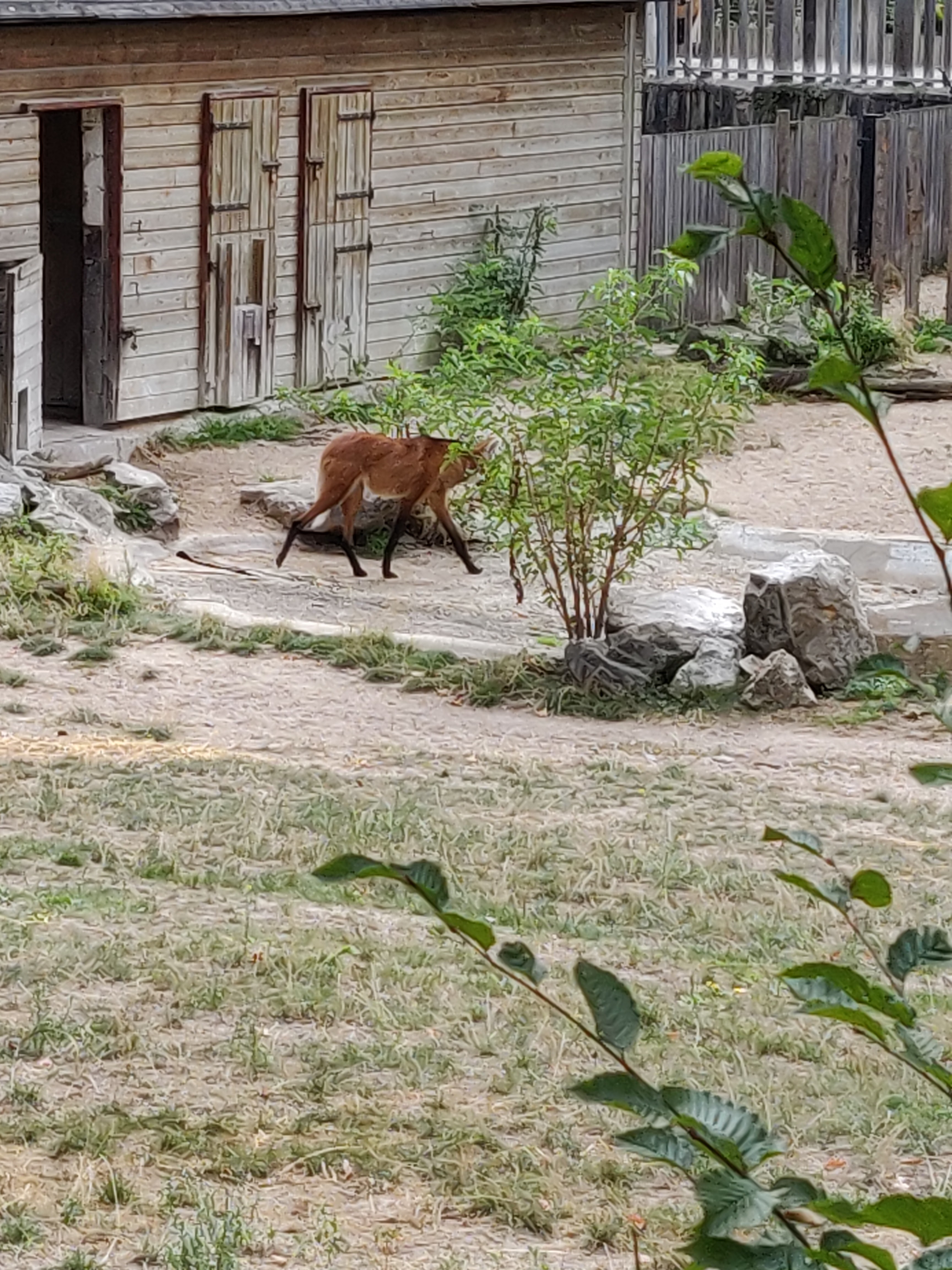Photo n° 37 de l'avis de Amélie.e fait le 31/08/2019 à 17:39