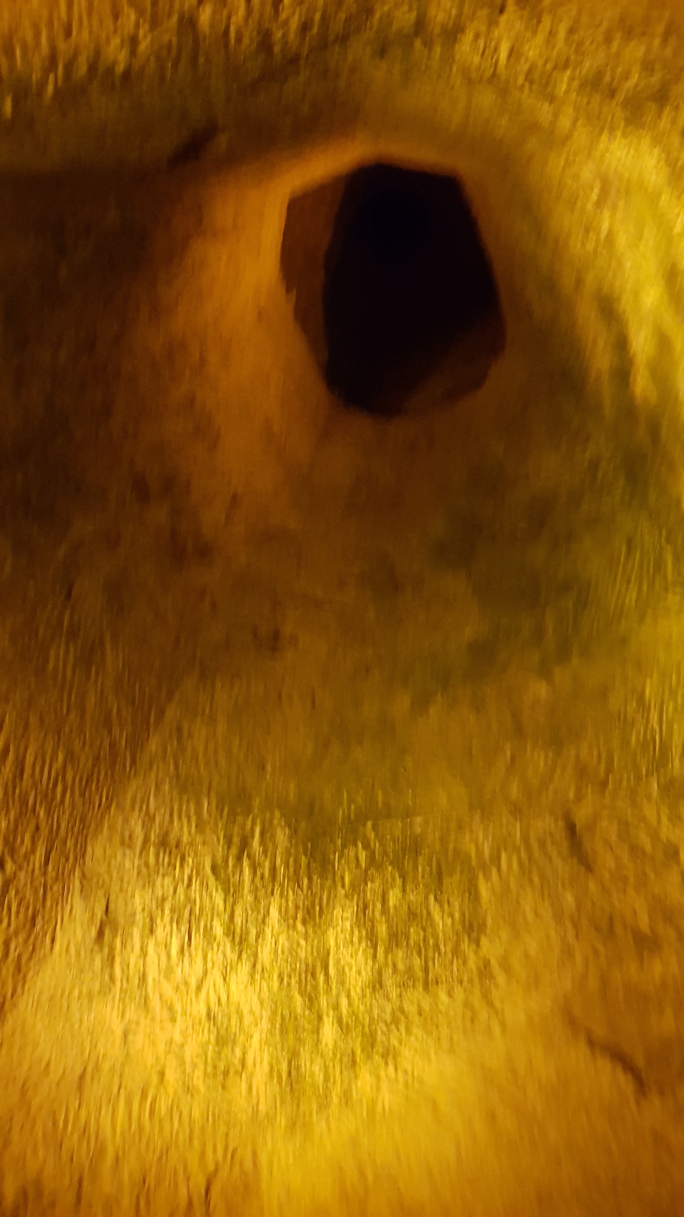 Photo n° 13 de l'avis de Uba.r fait le 03/11/2018 à 16:53
