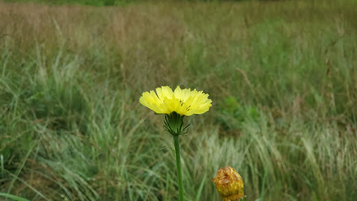 Golf Club «Pendleton Golf Club», reviews and photos, 6383 Declaration Drive, Ruther Glen, VA 22546, USA